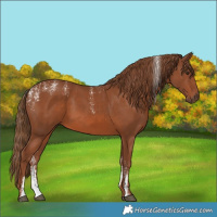 Horse Color:Powder White Chestnut