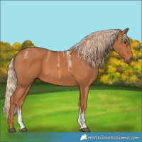 Horse Color:Powder White Chestnut