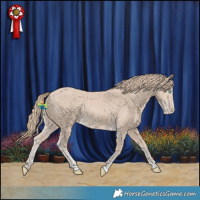 Horse Color:Smoky Creme Appaloosa Rabicano 
