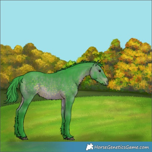 Horse Color:Watercolor Brown Rabicano 