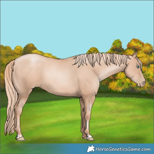 Horse Color:Gold Champagne Pearl Rabicano  and Gold Champagne Pearl Rabicano 