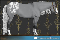 Horse Color:Silver Grullo Chinchilla Varnish