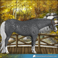 Horse Color:Silver Black Chinchilla 