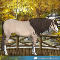 Horse Color:Sable Champagne Dun