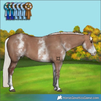 Horse Color:White Spotted Chocolate Silver Bay Dun
