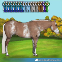 Horse Color:White Spotted Chocolate Silver Bay Dun 