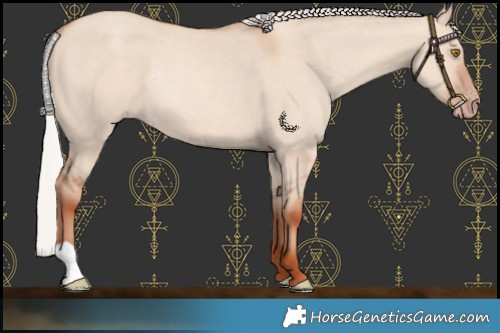 Horse Color:Silver Classic Champagne Dun Rabicano 