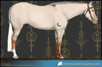 Horse Color:Silver Classic Champagne Dun Rabicano