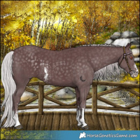 Horse Color:Chocolate Silver Black Chinchilla Sabino 