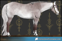 Horse Color:Chocolate Silver Buckskin Chinchilla