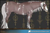 Horse Color:Chocolate Silver Smoky Black Chinchilla Sabino 