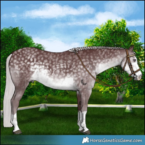 Horse Color:Chocolate Silver Smoky Black Chinchilla 
