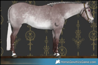 Horse Color:Chocolate Silver Bay Chinchilla 
