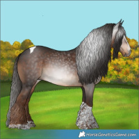 Horse Color:Gray Liver Chestnut Splash Tobiano