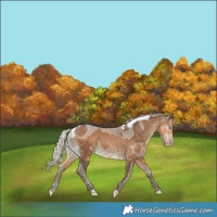 Horse Color:Gray Silver Perlino Merle
