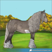 Horse Color:Silver Smoky Grullo Tobiano Rabicano
