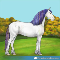 Horse Color:Painted White Spotted Red Dun Ice Tobiano Appaloosa