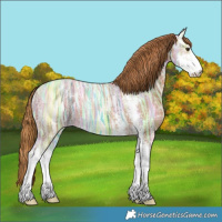 Horse Color:Chestnut Ice Sabino Varnish