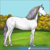 Horse Color:Nacre Black Ice Splash Tobiano