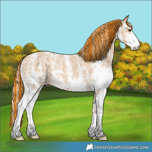 Horse Color:Painted Palomino Ice Sabino Varnish
