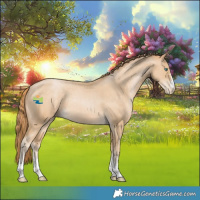 Horse Color:Smoky Black Pearl Appaloosa 