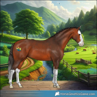 Horse Color:Bay Splash 