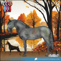 Horse Color:Black Merle 