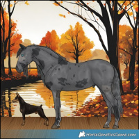 Horse Color:Black Merle