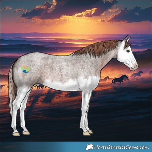 Horse Color:Liver Red Roan Splash 