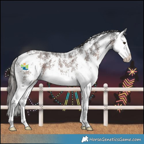Horse Color:Liver Chestnut Sabino Splash 