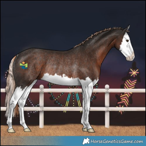 Horse Color:Liver Chestnut Splash Rabicano 