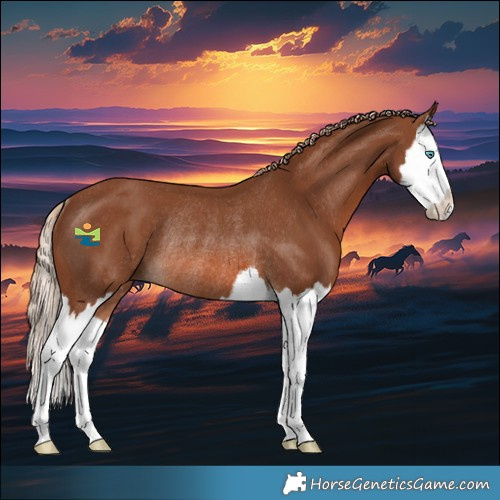 Horse Color:Chestnut Splash Rabicano 
