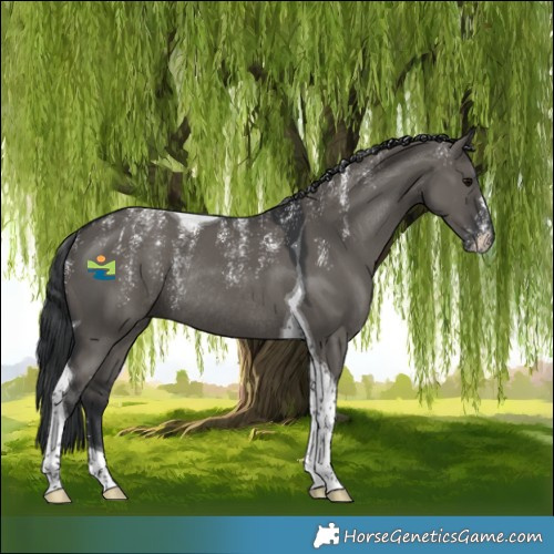 Horse Color:Powder White Grullo Tobiano Rabicano 