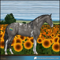 Horse Color:Powder White Grullo Tobiano Rabicano 