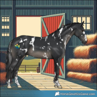 Horse Color:White Spotted Black 