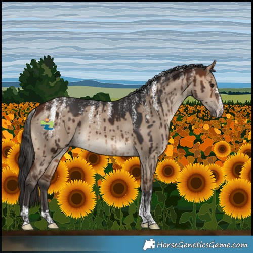 Horse Color:Powder White Bay Dun Rabicano Brindle 