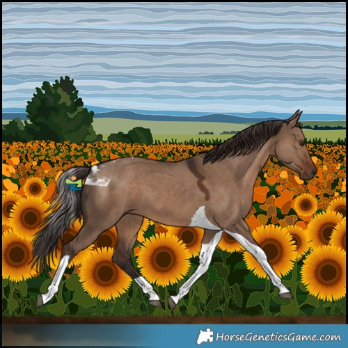 Horse Color:Liver Red Dun Tobiano 