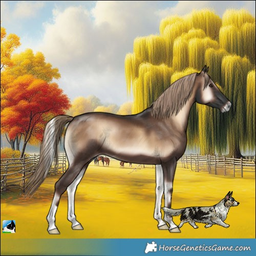 Horse Color:Liver Red Onyx 