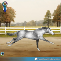 Horse Color:Gray Black Mushroom Sabino 