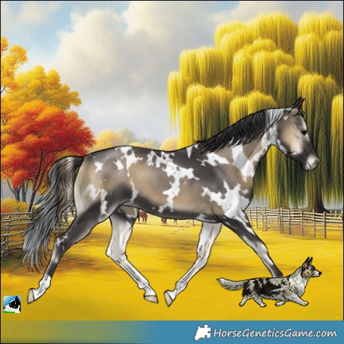 Horse Color:White Spotted Smoky Blue Onyx 