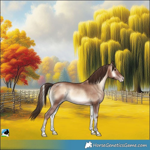 Horse Color:Classic Champagne Onyx Rabicano 