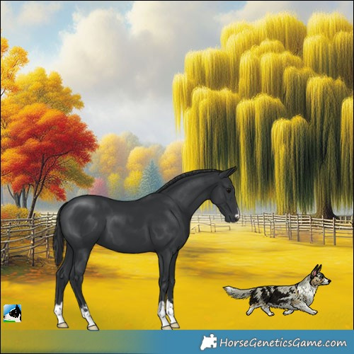 Horse Color:Black Mushroom