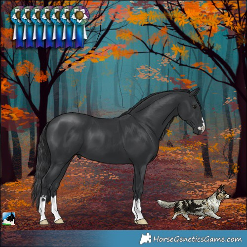 Horse Color:Black Mushroom 