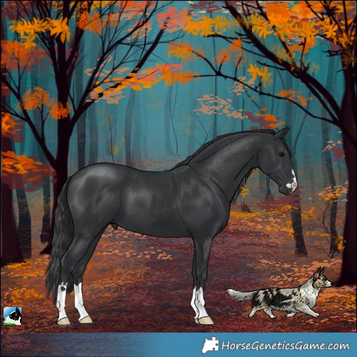 Horse Color:Black Mushroom 