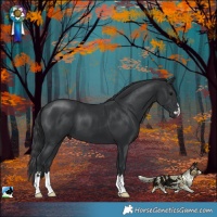 Horse Color:Black Mushroom 