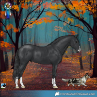Horse Color:Black Mushroom