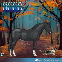Horse Color:Black Mushroom 