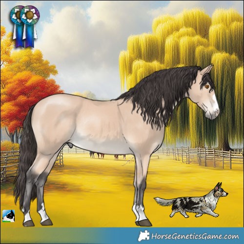Horse Color:Buckskin Mushroom Rabicano 