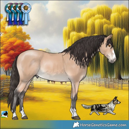 Horse Color:Buckskin Mushroom Rabicano 
