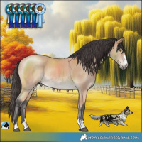 Horse Color:Buckskin Mushroom Rabicano